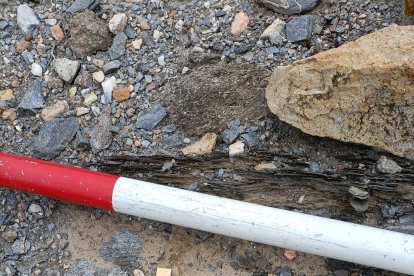 Cerámicas aparecidas a los pies del posible tholos