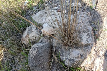 Muro del posible complejo romano