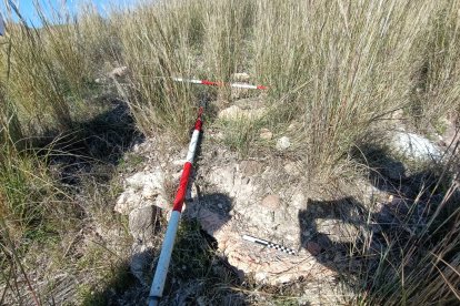 Muro del posible complejo romano