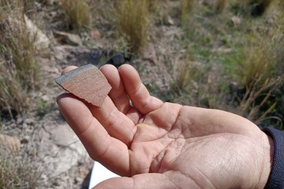 Fragmento de cerámica 