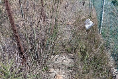 Trazado del muro original en el que se observa el mortero