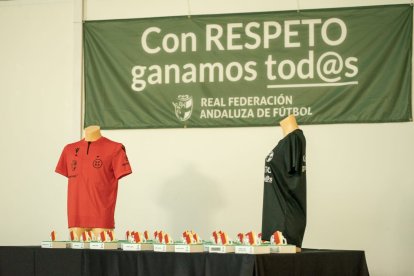 Los trofeos de la Gala del Arbitraje Almeriense. 