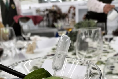 Sorbete de mojito, con una cuidada presentación.