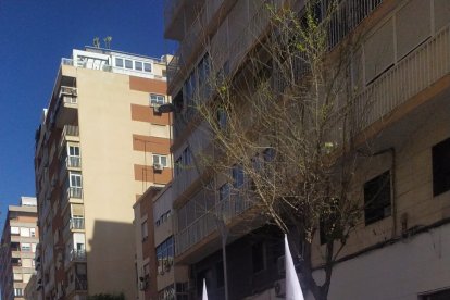 Tramo de nazarenos del Resucitado.