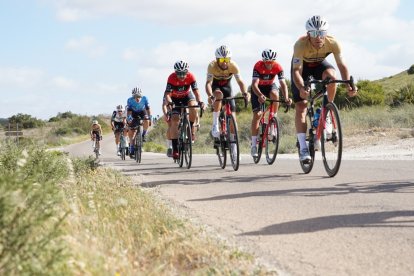 Los corredores se mostraron muy activos.