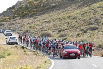 El pelotón compacto.