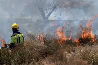 Imagenes del incendio en Turre cedidas por los Bomberos del Levante.