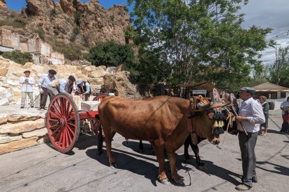 Las carretas tiradas por bueyes era el transporte para los bloques de mármol.