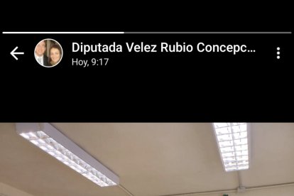 La diputada Concepción Pérez Morales votando.