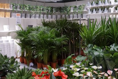 El 5 de julio, fecha para inaugurar IKEA Almería.