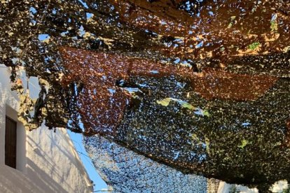 Ivan García en suelo durante la jura de bandera