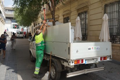 Un operario de Parques y Jardines coloca las nuevas flores que adornarán numerosas jardineras de las calles de la ciudad.