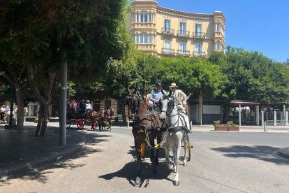 El Paseo de Caballos se desarrollará en el centro de la capital hasta el sábado.
