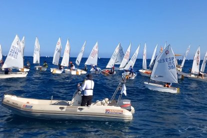 La organización ha sido perfecta.