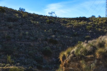 Uno de los puentes del sendero.