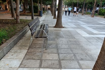 Luminaria inexistente y suciedad acumulada detrás de uno de los bancos