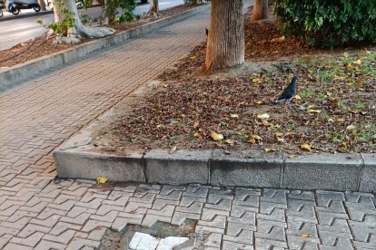 Arquetas en mal estado que complican el paso