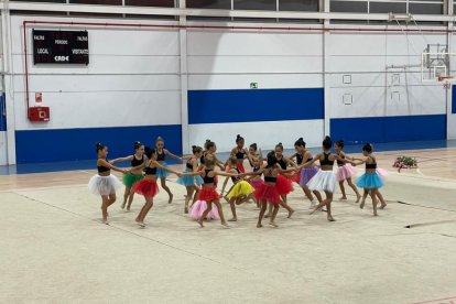 Actividades deportivas preferia.