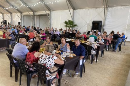El Día del Pensionista se celebró con más de 700 mayores y la elección de los Mis Y Míster de la tercera edad.