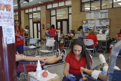 La macrocolecta de sangre dura cuatro días.