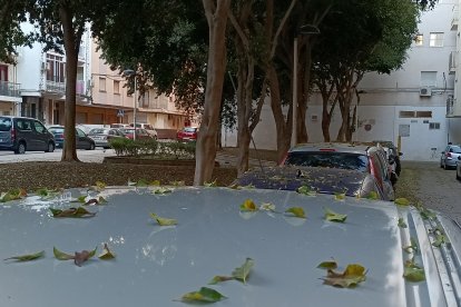 Así amanecían muchos coches en la zona de San Miguel.