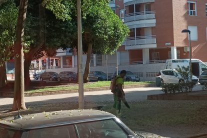 Operarios de Parques y Jardines realizaban en la mañana de este martes labores de limpieza de hojas en la zona de San Miguel.