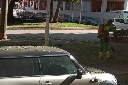 Operarios de Parques y Jardines realizaban en la mañana de este martes labores de limpieza de hojas en la zona de San Miguel.