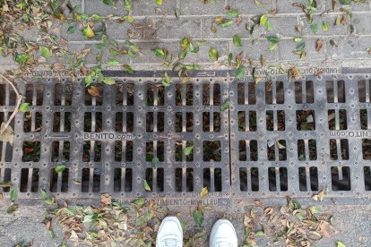 Las hojas se acumulan en imbornales que ya se ven taponados. En caso de lluvias, esto podría provocar la inundación de la calle.