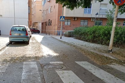 Las hojas, mientras no haya viento, se acumulan bajo los árboles, tanto en aceras como en la calzada.