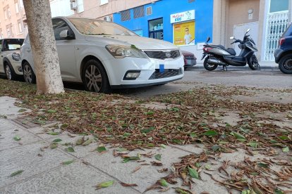 Calle Sergio Leone, junto a la Cámara de Comercio de Almería.