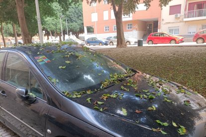 Así amanecían los vehículos aparcados junto al parque de San Miguel.