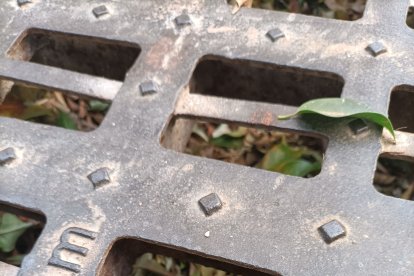 Las hojas se acumulan en imbornales que ya se ven taponados. En caso de lluvias, esto podría provocar la inundación de la calle.