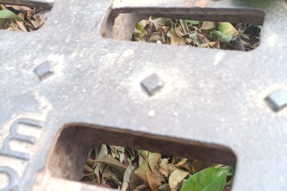 Las hojas se acumulan en imbornales que ya se ven taponados. En caso de lluvias, esto podría provocar la inundación de la calle.