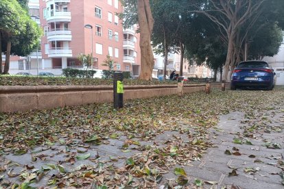 Un manto de hojarasca casi oculta el suelo de adoquín en el parque San Miguel.