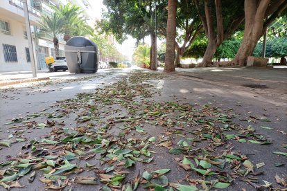 Parque Nicolás Salmerón.