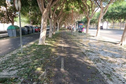 Avenida del Mediterráneo.