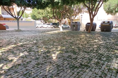 Junto a calle Darrícal.