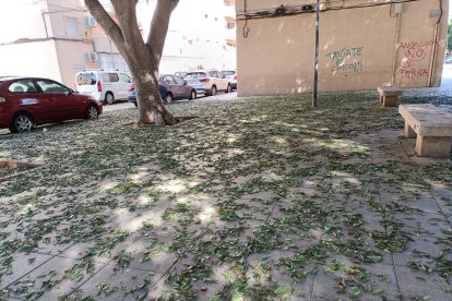 Calle Darrícal, en Las 500 Viviendas.