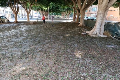 Junto a la calle Las Alpujarras.