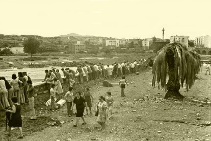 Albox, 1973. Miguel Romero.