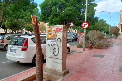 Arboles partidos en la vía de servicio de la Avenida del Mediterráneo.