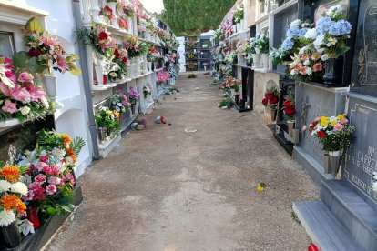 El viento ha destrozado las flores en el cementerio de Canjáyar.
