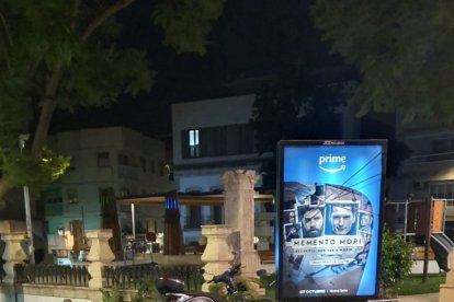 Árbol caído en la Plaza de San Pedro.