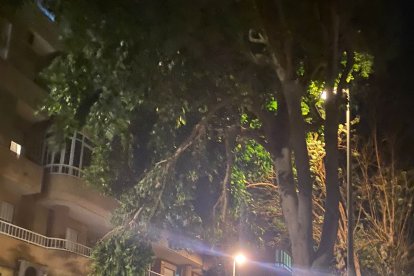 Efectos del temporal de viento en el barrio de San Luis.