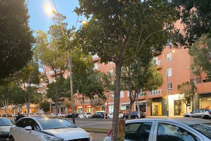 Efectos del temporal de viento en el barrio de San Luis.