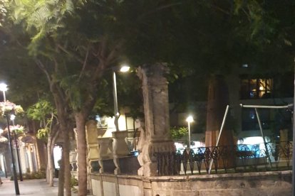 Árbol caído en la Plaza de San Pedro.