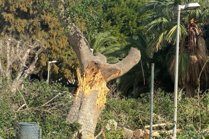 Efectos de la borrasca Ciarán.