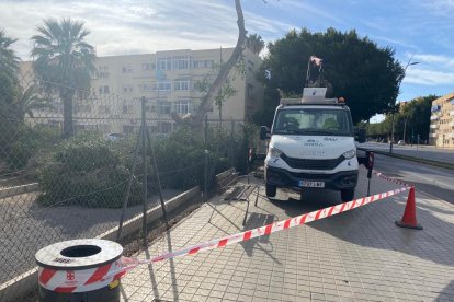 La ciudad de Almería recupera la normalidad.