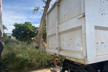 Almería, la zona andaluza con más incidencias por el temporal.