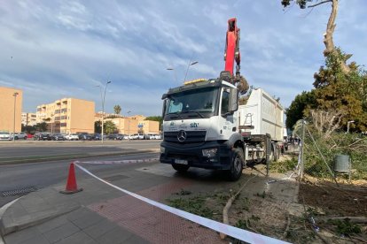 La ciudad de Almería recupera la normalidad.